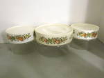 Vintage Pyrex Spice Of Life Store-n-see Canister Set